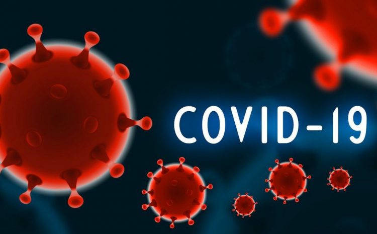 Covid-19 Daily Updates